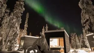 Vaattunki Wilderness Resort - Tiainen