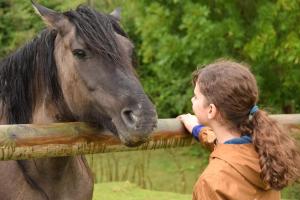 La Charretterie Cœur du village typique Normand