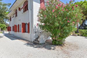 Elba Bellavista -- Home --