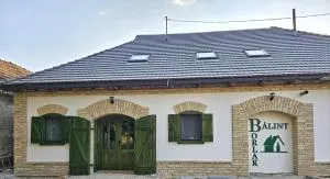 Bálint Borlak - Érsekhalma