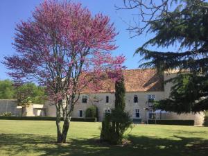 Chateau de Lugérat - 4 chambres - 2 et 3 personnes