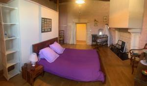 Sejours chez l'habitant Chateau de Lugerat - 4 chambres - 2 et 3 personnes : photos des chambres