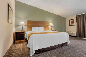 King Suite - Non-Smoking room in Quality Inn and Suites NRG Park - Medical Center