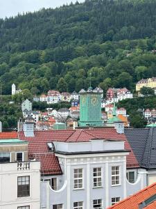 Flat in Bergen house with outstanding roof terrace