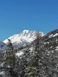 Appartements Studio en rez de chaussee, avec jardin partage. : photos des chambres