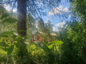 gemütliches Ferienhaus - Höga Kusten Region