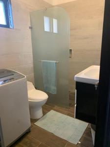 Jungle Oasis by the Beach