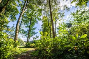 LA PETITE EVELETTE - Piscine et Sauna au Calme