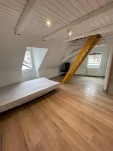 Studio Mezzanine - 米齐格