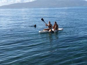 Mojito Apartament -302 for4-5 pers , Direct acces to Beach with free Parking