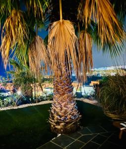 Ferienapartment Pauhana - Meer, Strand, Golf, Tauchen und mehr