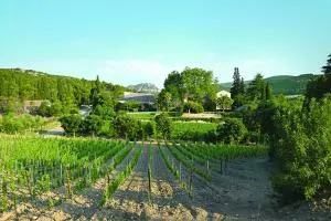 Gîte La Maison des Vendangeurs - Fontjoncouse