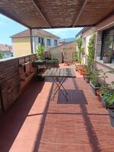 Ensenada de arcade - Arcade