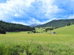 Apartment With Garden, Del Corlo Lake, Belluno