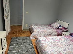 البيت بيتك 1