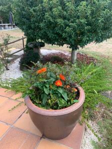 A PORTELA - Pereiro de Aguiar