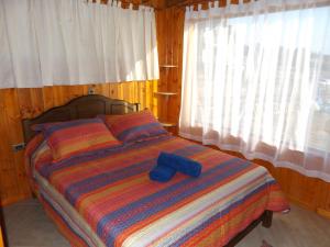 Cabaña Little Forest