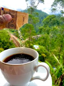 View arch wood cabin