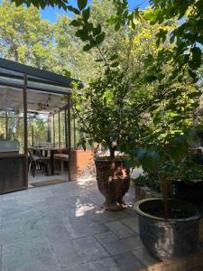 Maisons de vacances Mas Suejol : photos des chambres