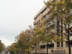 Appartements Studio Urban Chic Annecy : photos des chambres