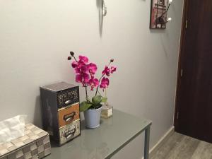 Appartements Studio Urban Chic Annecy : photos des chambres