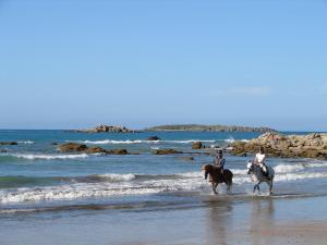 Maisons de vacances Le Clos de la Plage TY FANCH : photos des chambres