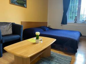 Standard Single Room room in Ubytovani Nikol