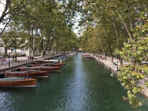 Appartements Studio Urban Chic Annecy : photos des chambres