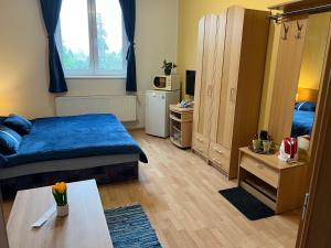 Standard Double or Twin Room room in Ubytovani Nikol