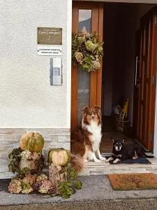 Casa Castegner - Rooms - Arten