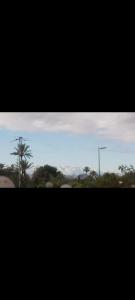 Apparemment a Marrakech très agr