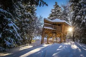 Cabanes Chartreuse insolite - Cabane "La Bordée" - 圣皮耶尔德沙尔特勒斯