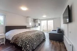 Studio the Dunes - 布罗门戴尔安泽