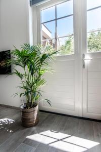 Good Vibes Romantic Studio incl free private parking