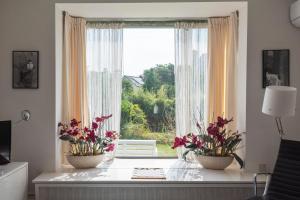 Apartment De Drie Tulpen