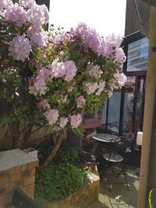 LEstivale maison cosy avec véranda et climatisation