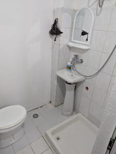 Zhizelle XhamllikApartment