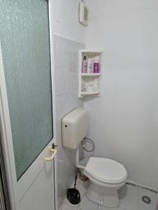 Zhizelle XhamllikApartment