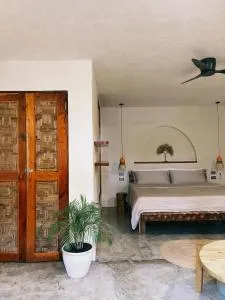 ISLA Studio-Starlink wi-fi - Libertad