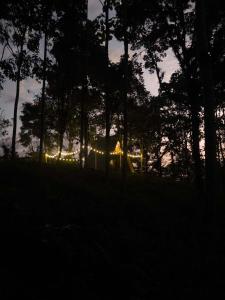 Cabaña Raices Habitat