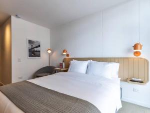 Unique Loft in Zona Rosa