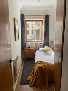 Entire Apartment in Heart of Dublin