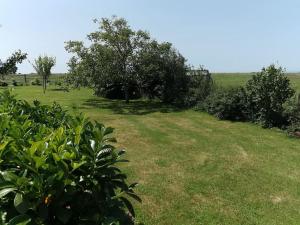 Maisons de vacances Dependance au calme dans notre jardin : photos des chambres
