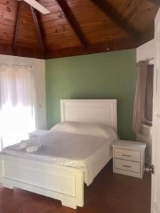 Palms Lounge Cabarete