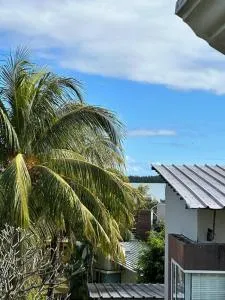 Les Dauphins Lataniers - Baie du Cap