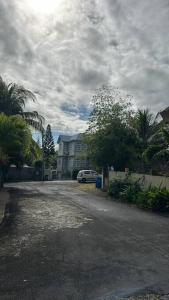 Les Dauphins Lataniers