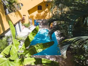 Jungle Hideaway in the Heart of Town with Heated Pool