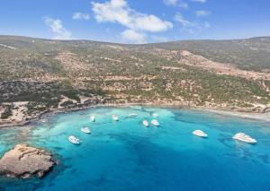 Olive Shared Pool Apartments