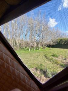 La Viella Glamp Sauco