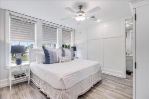 Flying Dolphin TC 10201